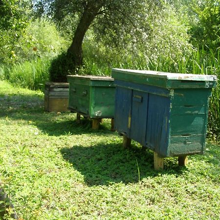 Pelican City Vilkovo Dış mekan fotoğraf